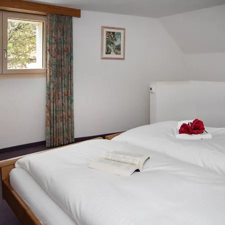 Abendrot Apartments-20 By Interhome 格林德瓦